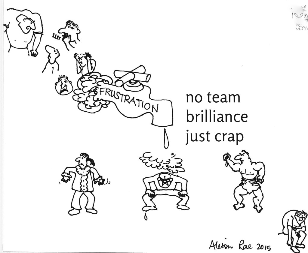 no team brilliance